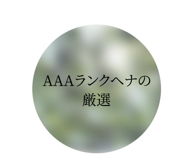 AAAランクヘナの厳選
