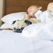 美しくいることと眠ること