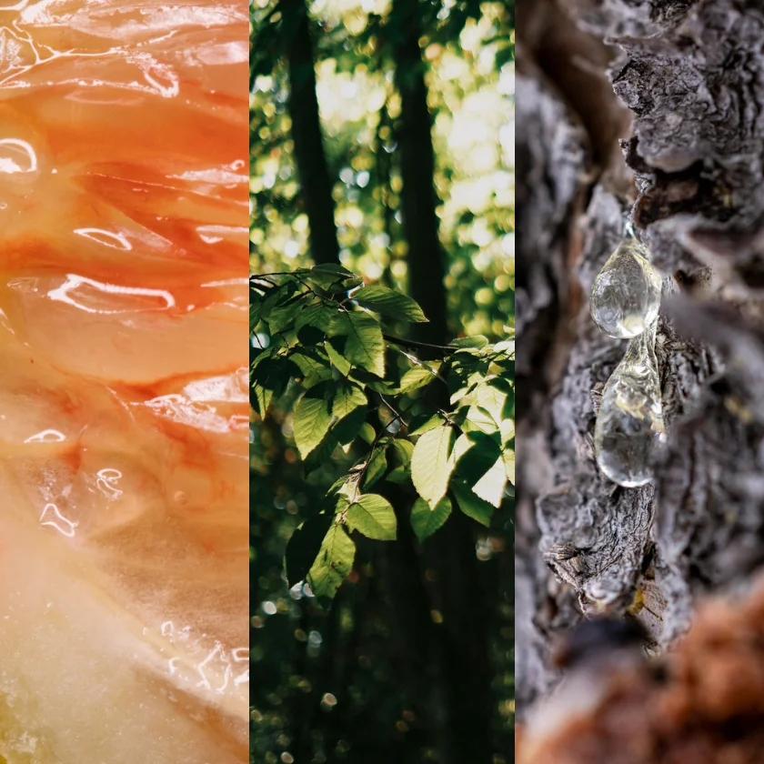 7種の精油素材レイヤー構造